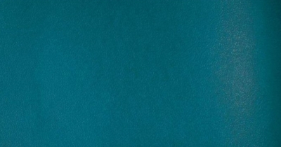 Myriad Leather Myriad Leather