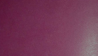 Myriad Leather Myriad Leather